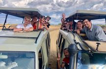 3 Days 2 Nights Adventures At Mikumi National Park