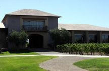 Small group tour in 2 wineries in Luján de Cuyo or Maipú