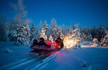 Northern Lights Sledge Ride