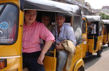 Private Peacock Trail Walking Tour in Mylapore