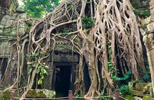 1 Day Angkor Wat Tour 