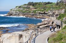 Sydney Uncovered Full-Day Private Tour