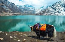 Excursion to North Sikkim Lachen and Lachung 6 Days