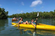 Key West Mangrove Kayak Eco Tour 