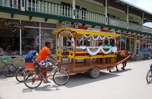 Full day Discovery Tour of La Digue Island from Praslin Island