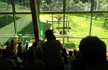 Private Full Day Sepilok Orang Utan, Bornean Sun Bear and Rainforest Discovery Center Tour