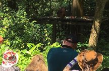 Private Full Day Sepilok Orang Utan, Bornean Sun Bear and Rainforest Discovery Center Tour
