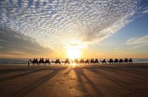 1 Hour Broome Sunset Camel Tour on Cable Beach