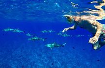 PRIVATE FULL DAY LAGOON TOUR - Bora Bora Cultural Lagoon Tour