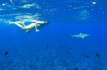 PRIVATE FULL DAY LAGOON TOUR - Bora Bora Cultural Lagoon Tour