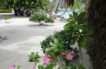 PRIVATE FULL DAY LAGOON TOUR - Bora Bora Cultural Lagoon Tour