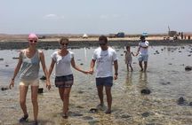Union tour Full Day Private tour 