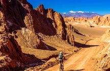 3 Private Tours in San Pedro de Atacama
