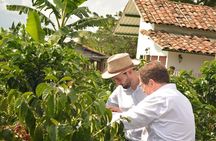 Coffee Tour at the Finca del Café