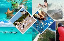 Contoy Island