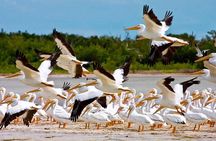 Contoy Island
