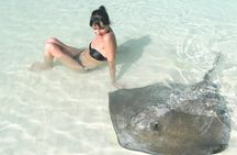 Contoy Island