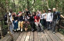 Jozan forest tour