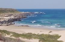 Guided Marine Walk: - Sardinia Bay (Marine Protected Area) - 2 hours