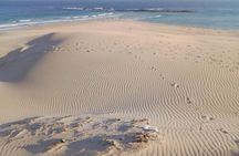 Guided Marine Walk: - Sardinia Bay (Marine Protected Area) - 2 hours