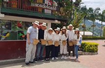Coffee Tour at the Finca del Café