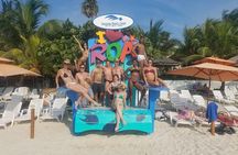 Roatan Horseback Ride and Swim