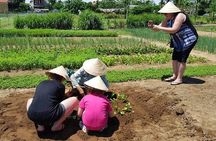 Hoi An Countryside Experience with 3 Villages & Basket Boat Ride