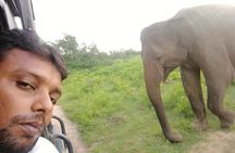 Uda Walawa Safari 1-Day-Tour from Mirissa, Weligama, Ahangama