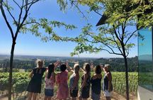 Amy & Reba's Day Drinking Wine Tours, Where we'll Drive you to Drink