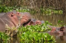 5 Days Best Of Kenya Safari