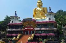 Private 5-Day-Highlights-Tour Around Sri Lanka