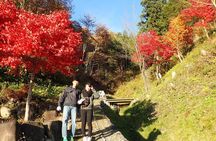 Private Afternoon Cycling Tour in Hida-Furukawa