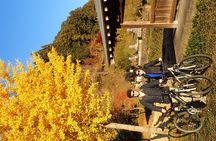Private-group Morning Cycling Tour in Hida-Furukawa