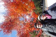 Short Morning Cycling Tour in Hida
