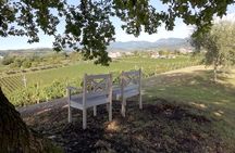 Prosecco - Wine tour & tasting - Full day in the Prosecco region