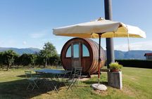 Prosecco - Wine tour & tasting - Full day in the Prosecco region