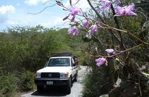 National Park Jeep Safari