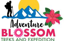 Travel Agency, Tour and outdoor activities