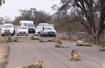 Half Day Nairobi National Park Guided Tour From Nairobi