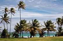 Around the Island