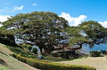 Around the Island