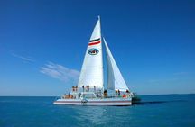 Key West Reef Snorkel – Morning Mimosas or Afternoon Margaritas