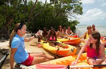 Island Adventure Eco Tour – Explore Key West’s Hidden Backcountry