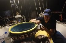 GO Fishing in Kalamata-Koroni-Kardamili-Stoupa
