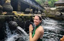 Ubud Sightseeing Private Tour - Instagramable Spot and More