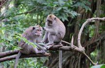 Ubud Sightseeing Private Tour - Instagramable Spot and More