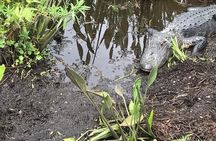 Everglades Airboat Tour
