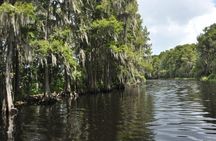 Everglades Airboat Tour