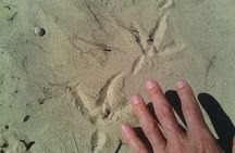 Guided Marine Walk: - Sardinia Bay (Marine Protected Area) - 3 hours