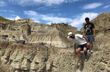 Discover the Tatacoa Desert with a Local